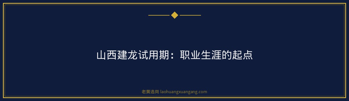 山西建龙试用期:职业生涯的起点 - 要点