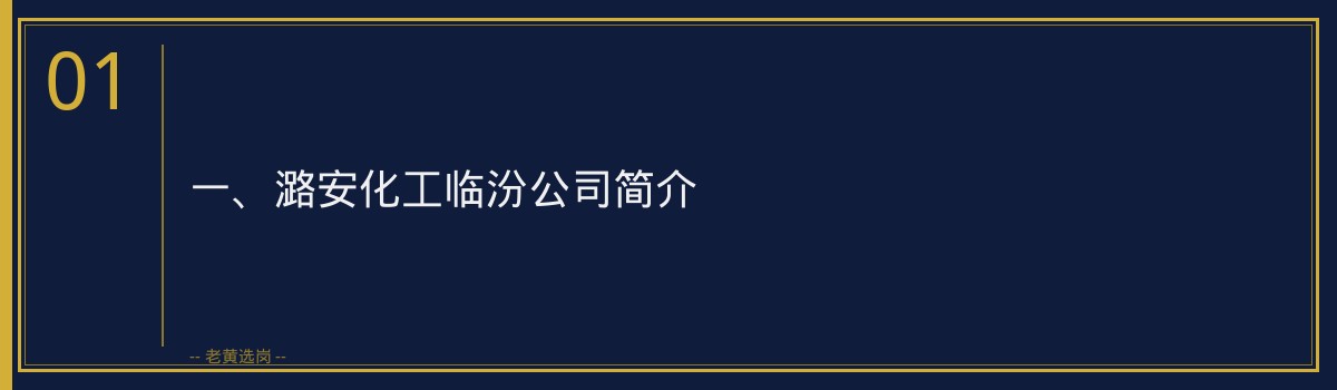 潞安化工临汾岗位晋升通道解析_老黄选岗 - 章节