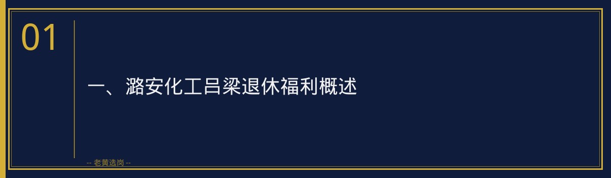 潞安化工吕梁退休福利待遇_老黄选岗 - 章节