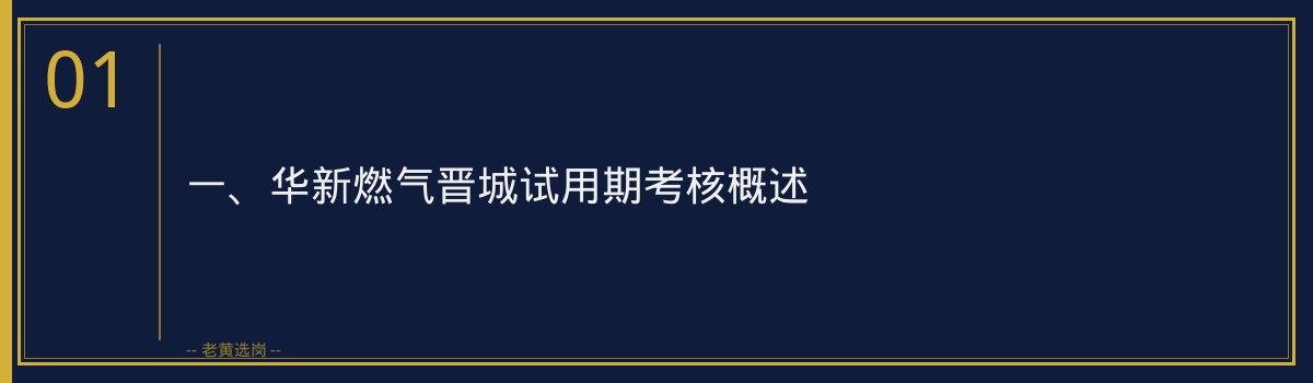 华新燃气晋城试用期考核要点_老黄选岗 - 章节