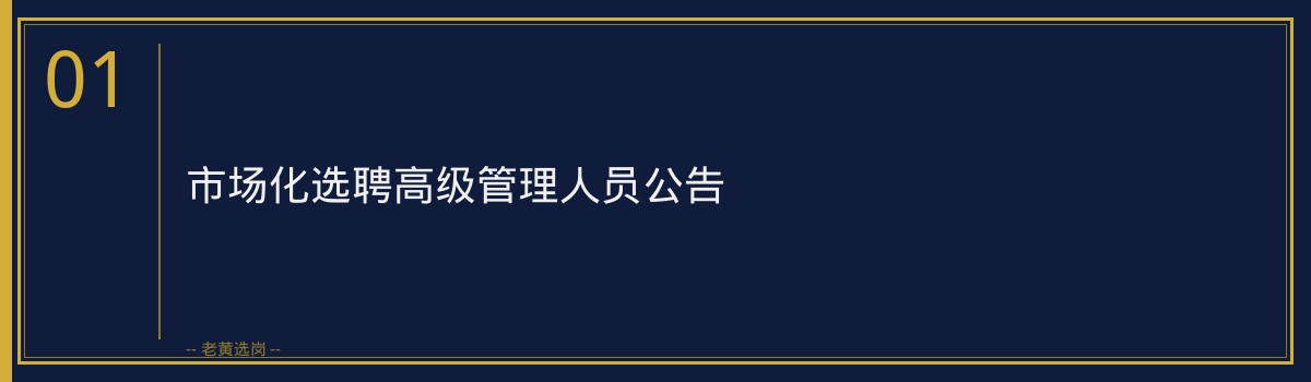 市场化选聘高级管理人员公告 - 章节