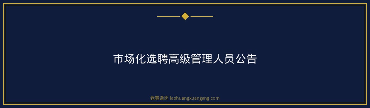 市场化选聘高级管理人员公告 - 要点
