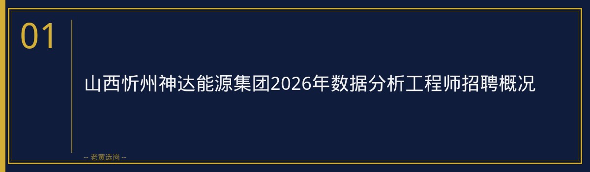 山西忻州神达能源集团2026年数据分析工程师笔试考什么？｜老黄选岗 - 章节