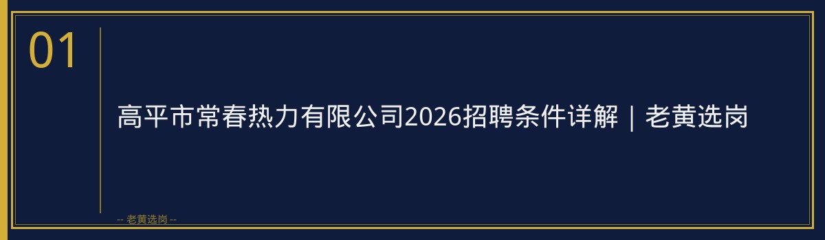 高平市常春热力有限公司2026招聘条件详解｜老黄选岗 - 章节