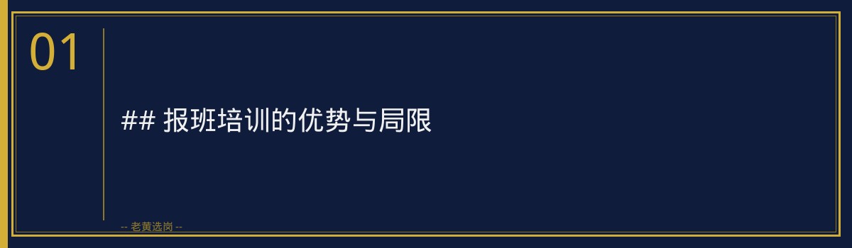 国新能源审计岗三个月备考:培训对比与选择指南|老黄选岗 - 章节