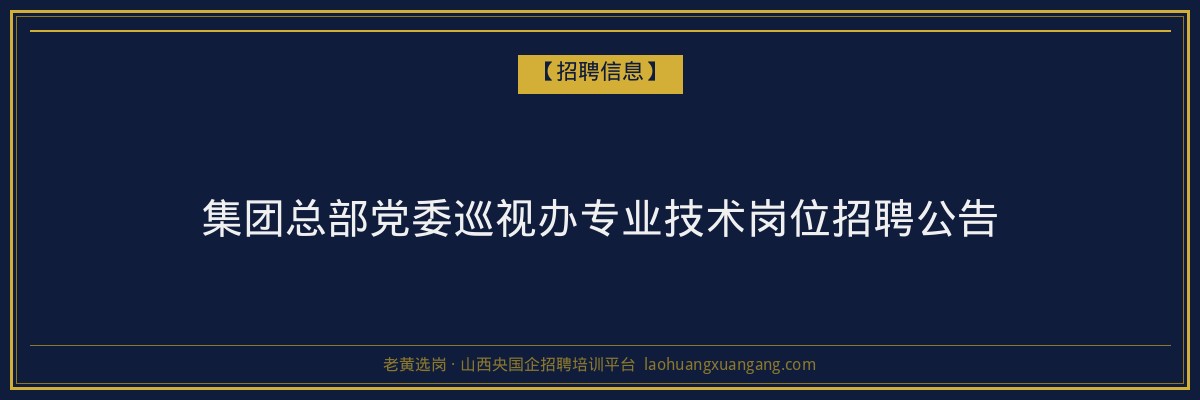 集团总部党委巡视办专业技术岗位招聘公告 - 老黄选岗