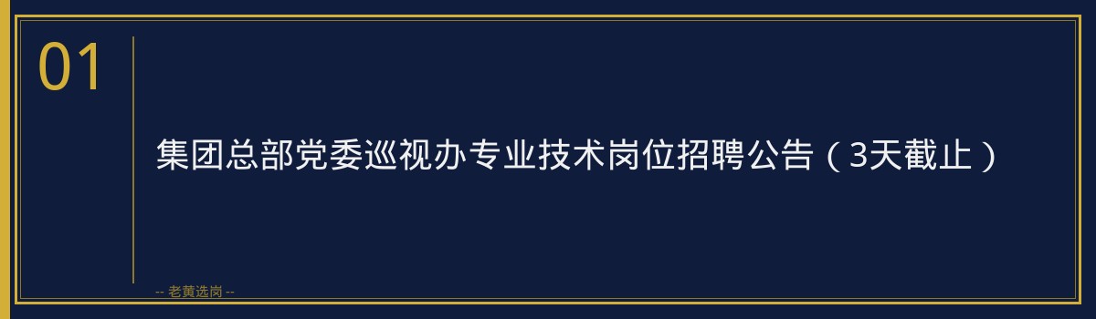 集团总部党委巡视办专业技术岗位招聘公告（3天截止） - 章节