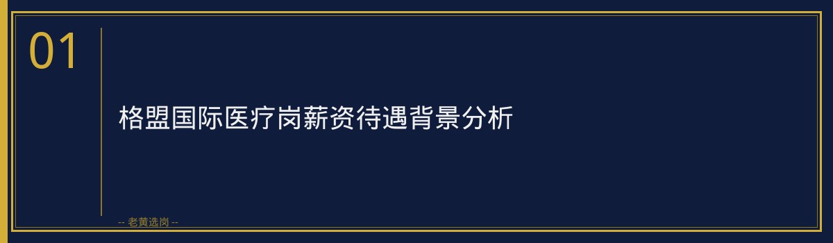 格盟国际医疗岗专业课复习｜老黄选岗专业指导 - 章节