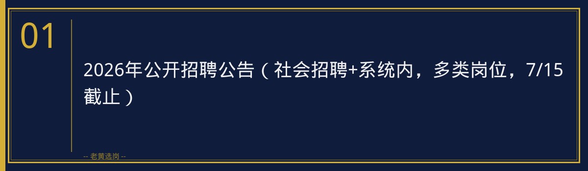 2026年公开招聘公告(社会招聘+系统内,多类岗位,7/15截止) - 章节