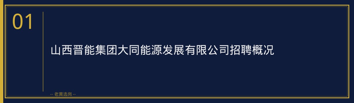 山西晋能集团大同能源发展有限公司申论高分模板 - 章节
