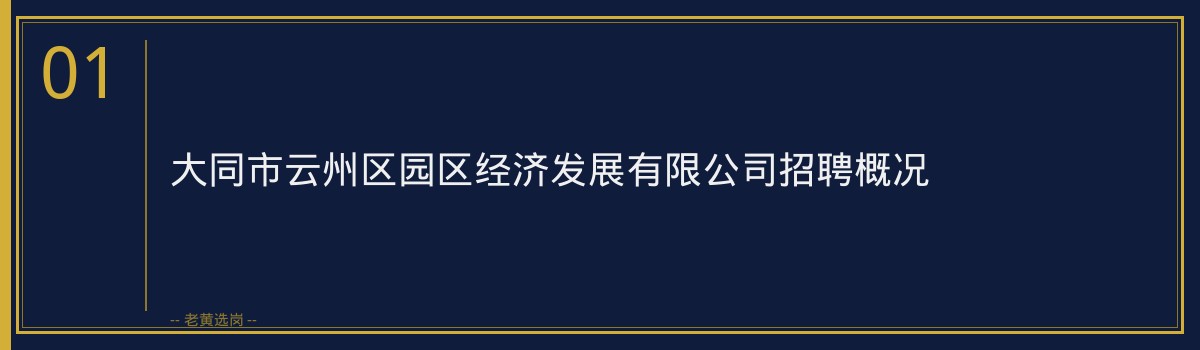 大同市云州区园区经济发展有限公司报名指南：从注册到提交，一步步教你完成报名 - 章节