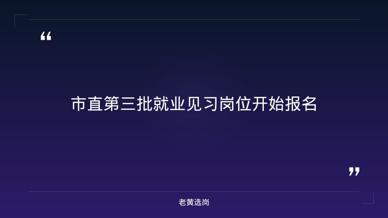 市直第三批就业见习岗位开始报名——老黄选岗解读 - 章节