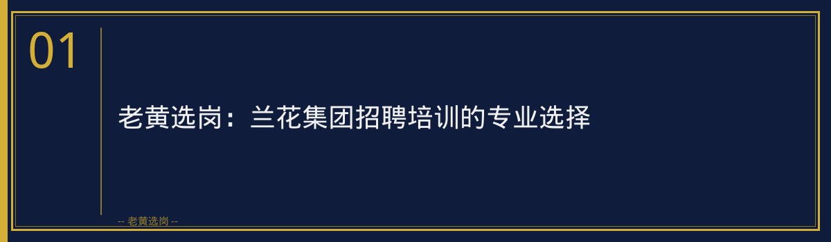兰花集团招聘培训,专业助力职场发展 —— 老黄选岗全方位辅导服务 - 章节