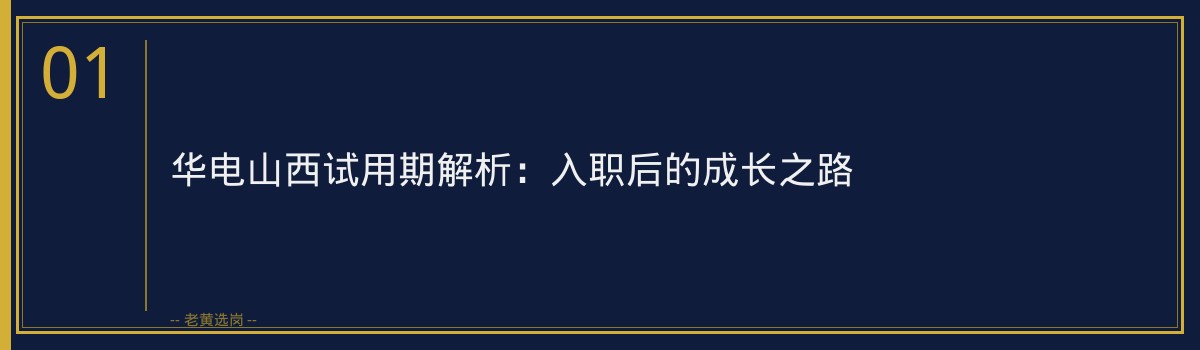 华电山西试用期解析:入职后的成长之路 - 章节